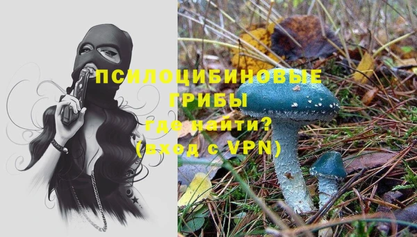 герыч Чердынь