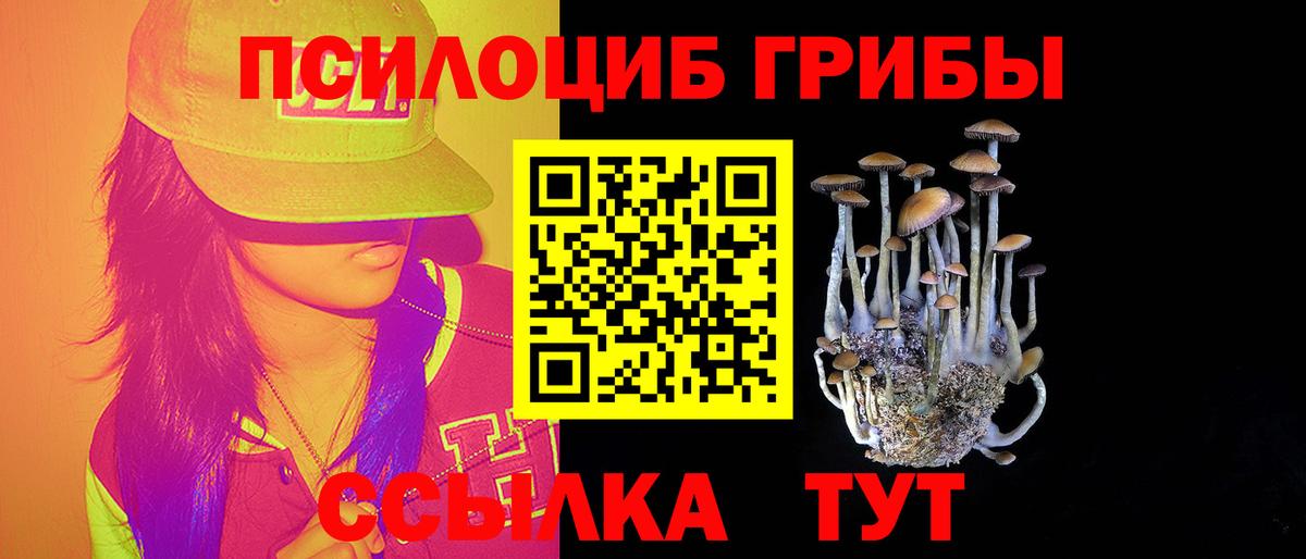 Псилоцибиновые грибы Psilocybe Алейск