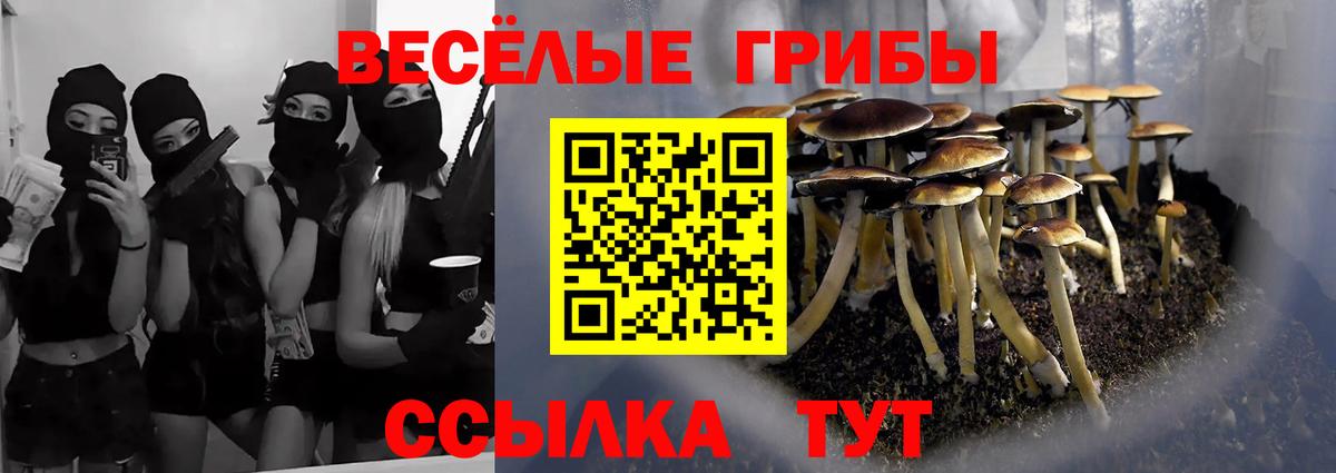 Галлюциногенные грибы прущие грибы  Вход с VPN  Псилоцибиновые грибы Magic Shrooms  Алейск 