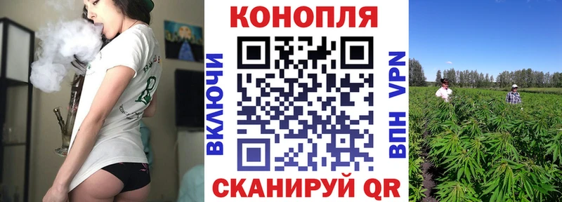 закладка Алейск Конопля Bruce Banner